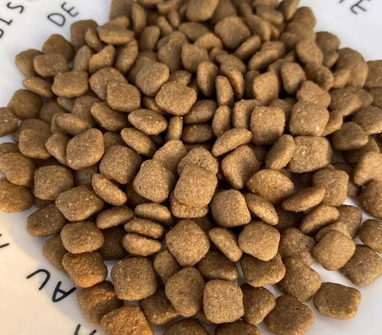 Tortue de crevette humide sèche à grande échelle évier flottant granulés d'alimentation pour poissons chat pour animaux de compagnie chien nourriture faisant la Machine d'extrusion de traitement