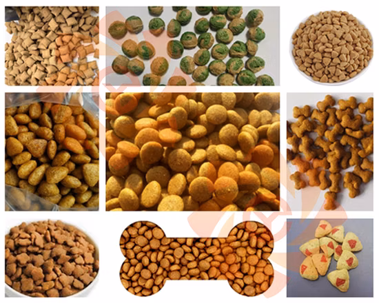 Ligne de production d'aliments pour chiens secs pour animaux de compagnie à haut rendement